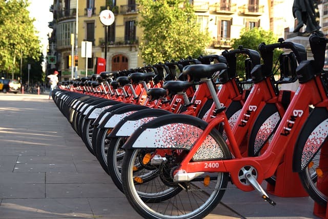 maneras para cuidar el ecosistema