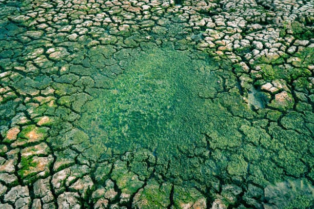 5 problemas ambientales