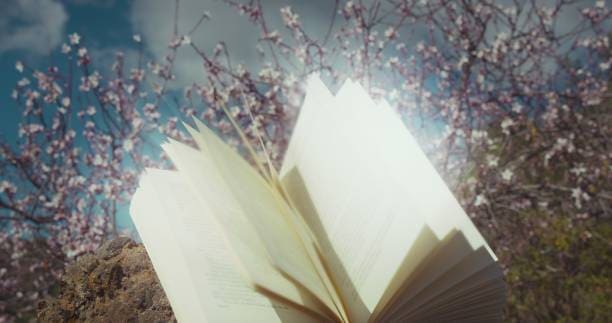 26 de enero día mundial de la educación ambiental